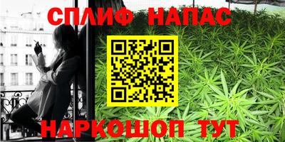 сатива Кулебаки