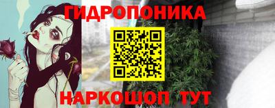 a pvp Кунгур