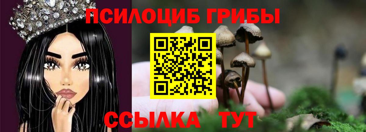 Псилоцибиновые грибы GOLDEN TEACHER  закладки  Вход с VPN  Когалым  Галлюциногенные грибы Psilocybe 